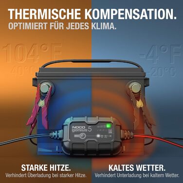 Інтелектуальний зарядний пристрій 5А, зарядний пристрій 6В/12В, крапельний зарядний пристрій і десульфатор з температурною компенс