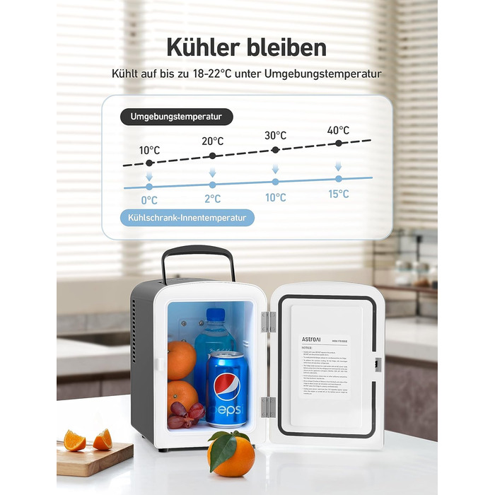 Міні-холодильник AstroAI 4 л, Маленький холодильник для косметики та напоїв, Міні-холодильники на 220В AC/12В DC для авто, офісів,
