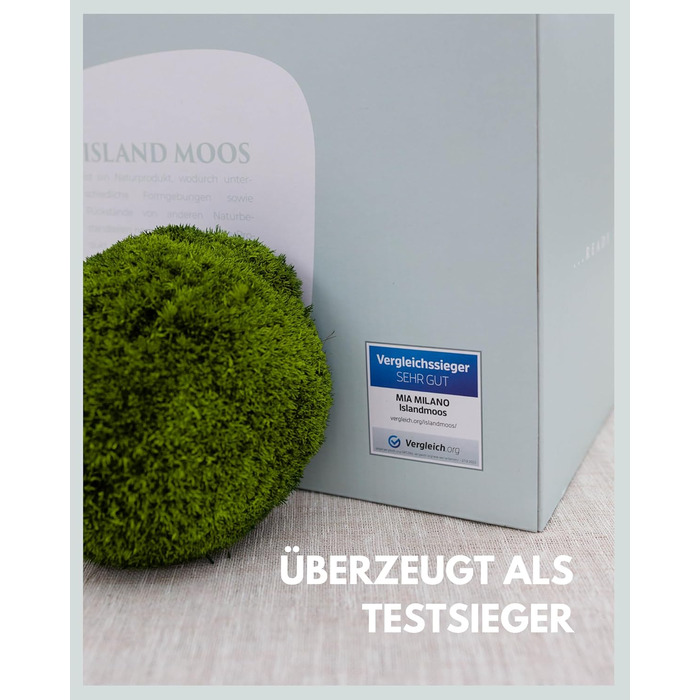 Шаровий мох зберігся Справжній мох для малюнків моху Міцний мох для рукоділля Водостійкий натуральний зелений ісландський мох (250г)