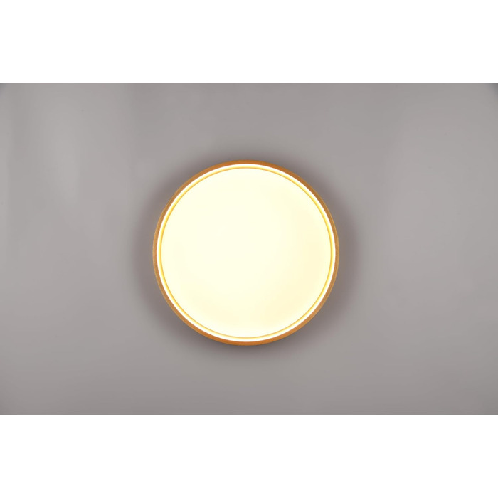 Стельовий LED-світильник Trio Leuchten Doha 641310208, матова латунь, акрил, LED 29 Вт