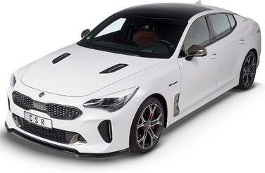 Автомобільні чохли для фар, сумісні з/замінені для Kia Stinger SB296-L