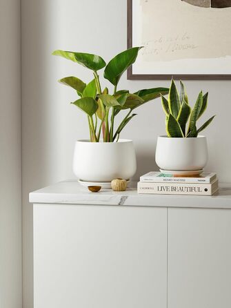 Керамічні квіткові горщики LE TAUCI з блюдцями, набір маленьких квіткових горщиків діаметром 101316 см, набір з 3 горщиків для кімнатних рослин, горщики з дренажним отвором, білі