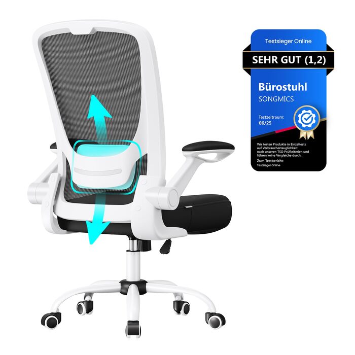 Ергономічне офісне крісло SONGMICS, обертове крісло з сіткою, поперекова підтримка, функція гойдання, розмір сидіння 53 см, складні підлокітники, для роботи та спальні, для студентів, чорно-біле OBN37WT чорний білий без підголівника