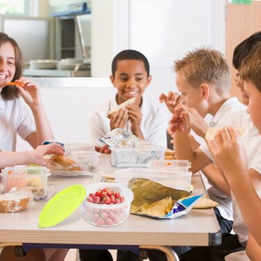 Елементна коробка для тіста для піци з кришкою, коробка для тіста для піци з харчового пластику, коробка для розстойки піци, контейнер для тіста для піци для домашнього використання, контейнер для інгредієнтів для кухні, ресторану чи дому (різнокольоровий