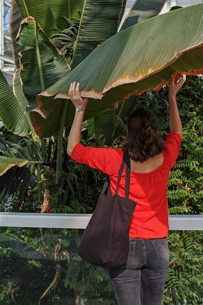 Стильна містка сумка Cottonbagjoe з внутрішньою кишенею та застібкою-блискавкою бавовняна сумка тканинна сумка сумка шоппер з вели