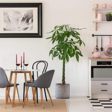 Круглий обідній стіл Relaxdays, на 2 персони, виготовлений з бамбука та МДФ, ВxГ 75x80 см Скандинавський, кухонний стіл, схрещені ніжки, білий/натуральний