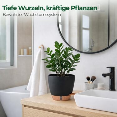 Набір з 2 предметів T4U, самополивний квітковий горщик 20 см з глибоким резервуаром для води, для зелених рослин, великий квітковий горщик для приміщень та вулиці, також підходить як велике кашпо для вулиці, чорний, 20 см