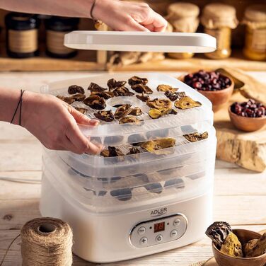 Дегідратор для їжі ADLER AD 6658, 550 Вт, дегідратор, дегідратор, білий