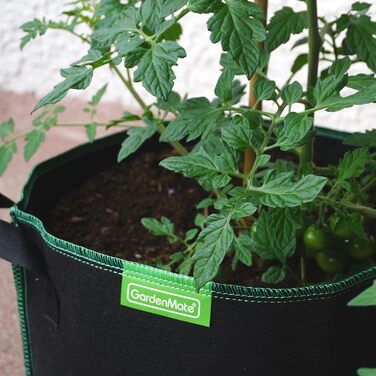 Мішки для рослин GardenMate з нетканого матеріалу об&39ємом 6 x 60 л, Ø45,5 см, висота 40 см - GREENLINE 6 x 60 літрів (D45,5 x H40 см) Greenline