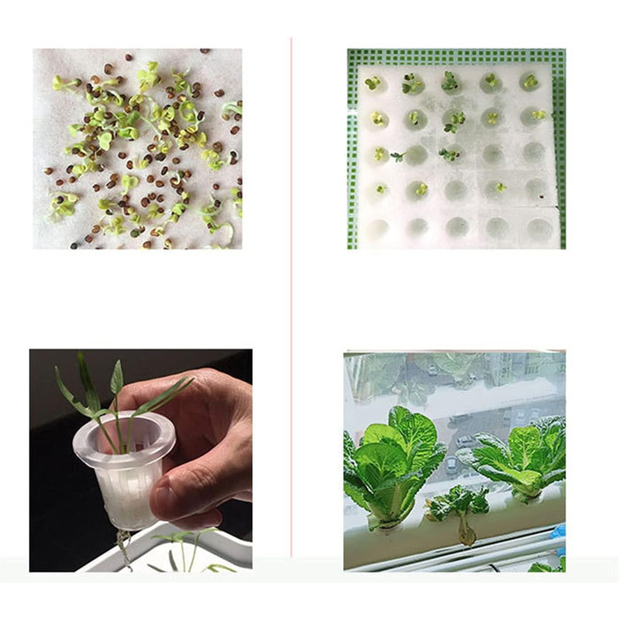 Із насосом для освітньої системи гідропоніки (B-36 отворів), 36 Sites, 4 Pipes Soilless Plant Rasting Systems, Flow Deep Hydroponic Gardens