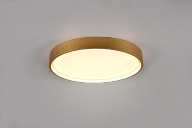 Стельовий LED-світильник Trio Leuchten Doha 641310208, матова латунь, акрил, LED 29 Вт