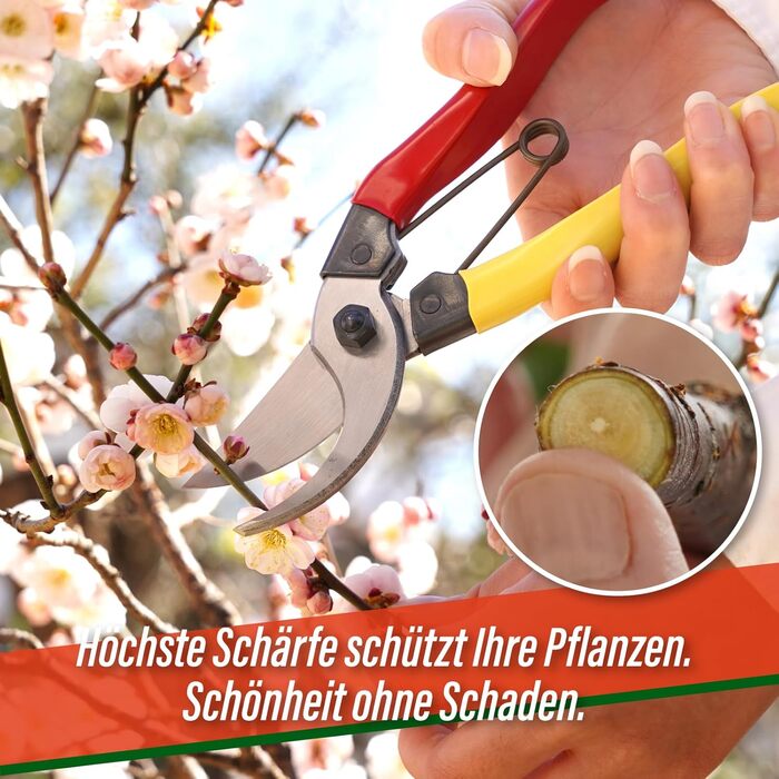 Садові ножиці SUIZAN Bypass 200 мм - Професійні японські ножиці для дерев, ножиці для троянд, садові інструменти