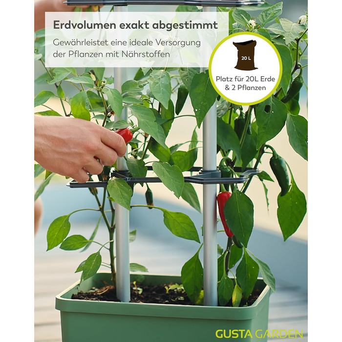 Горщик для рослин Charly Chili Chili - Горщик для рослин із шпалерою, системою поливу та міцним каркасом (темно-зелений, XL) XL Темно-зелений