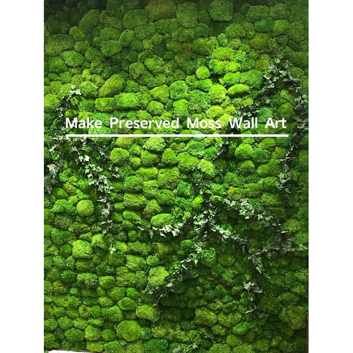 Збережені рослини палка мох подушка булочка подушка натуральний зелений декоративний справжній натуральний зелений DIY kit тераріуми садівництво мистецтво декорування стін флористичний декор (Green-b, 1.5 sq.ft)