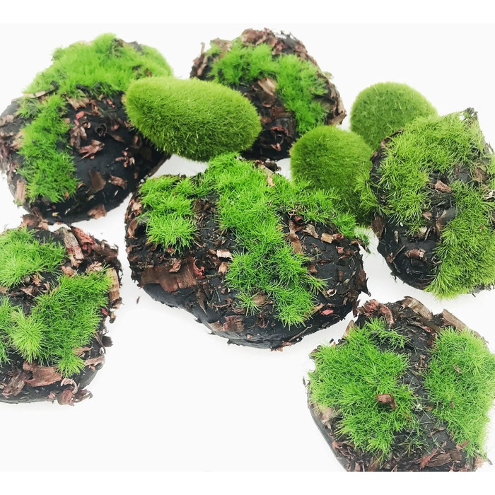 Учних мохових кульок, 30 декоративних штучних мохових каменів і 8 шт. учних мохових каменів із тирси для створення квіткових композицій, казкових садів і ремесел, 38 шт.