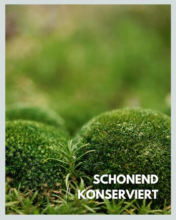 Шаровий мох зберігся Справжній мох для малюнків моху Міцний мох для рукоділля Водостійкий натуральний зелений ісландський мох (250г)