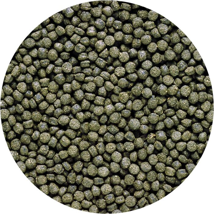 Гранули Hikari ML DWARF CICHLIST Excel Sinking Pellets для домашніх тварин, міні, 12 унцій (упаковка з 1)