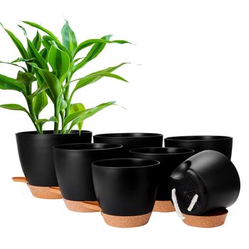 розмір: 7 штук