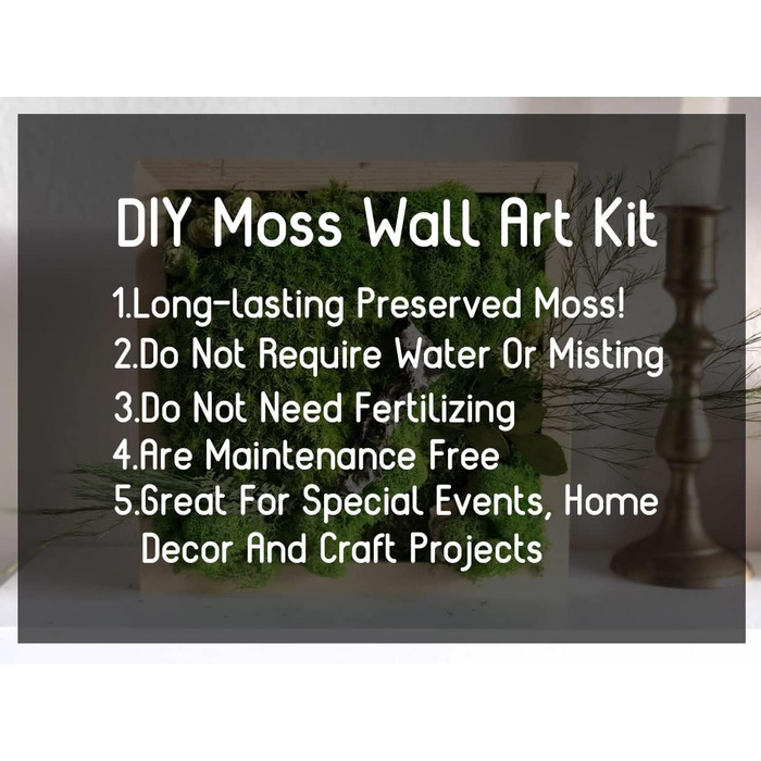 Збережені рослини палка мох подушка булочка подушка натуральний зелений декоративний справжній натуральний зелений DIY kit тераріуми садівництво мистецтво декорування стін флористичний декор (Green-b, 1.5 sq.ft)