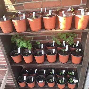 Горщики для рослин горщики для рослин горщики для вирощування квітковий горщик пластикові маленькі горщики для вирощування пластик