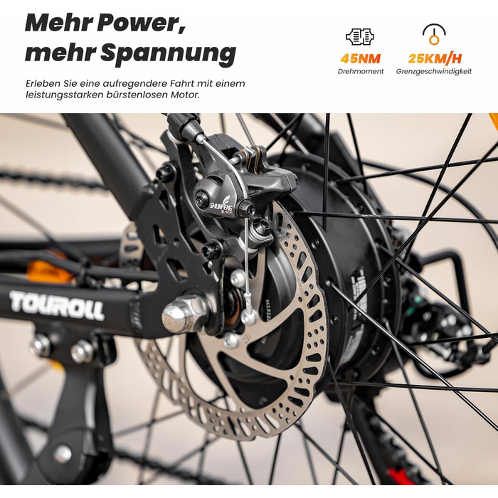 Електровелосипед Touroll U1, 26/29 дюймів, для чоловіків та жінок, зі знімним акумулятором 36 В 13 Аг, двигуном 250 Вт, MTB, гірський електровелосипед з 21 передачею, запас ходу понад 65 км, позашляхові шини CST 26 дюймів