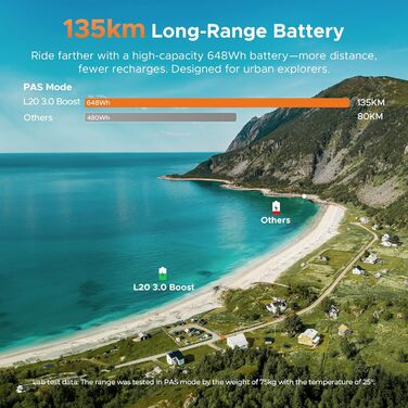 Електровелосипед ENGWE з додатком, акумулятор 48 В 13,5 Аг, запас ходу до 135 км, датчик крутного моменту та гідравлічні гальма, шини 20 * 3,0, 2 години зарядки, колір шампанське золото