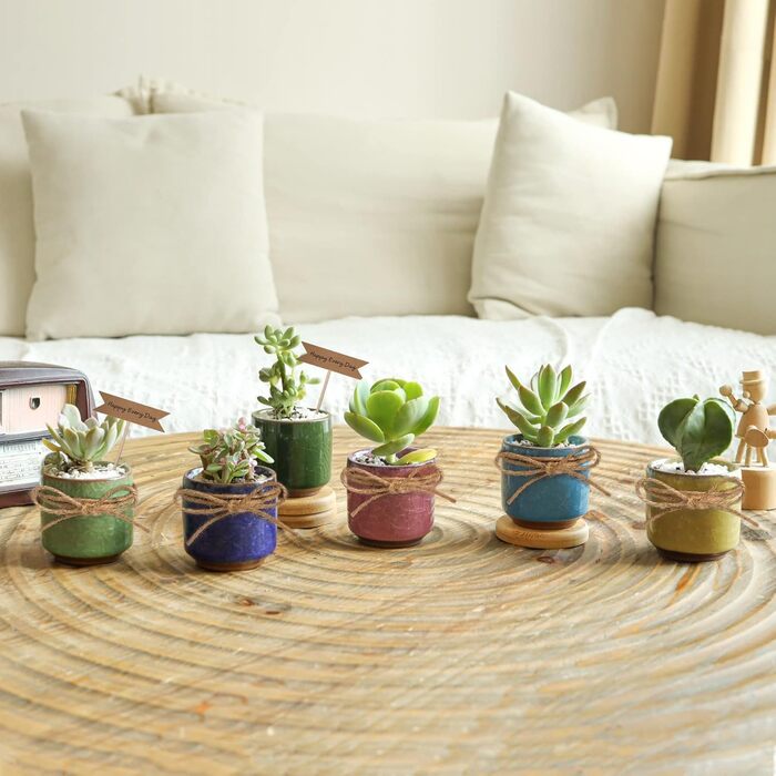 Керамічні горщики для сукулентів Кактус горщики міні квіткові горщики Ice Crack Taller серія 6 кольорів набір з блюдцем, 4U 6,3