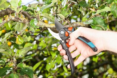 Садові ножиці Gardena B/S XL Ножиці для дерев, безпечні для рослин, з обхідним лезом для гілок та сучків, максимальний діаметр різання 24 мм, безступінчасте відкриття ручки (8905-20) Одинарні