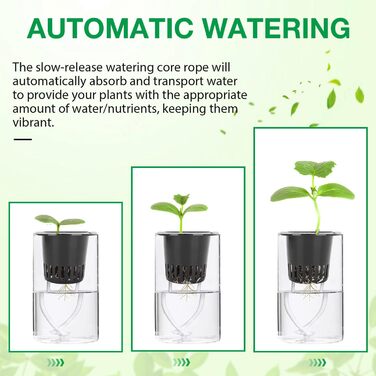 Сітчастий горщик для гідропоніки Tomotato, сітчастий горщик для рослин для гідропоніки, 50 упаковок, пластиковий сітчастий горщик для гідропоніки для гідропоніки рослинних орхідей (білий)