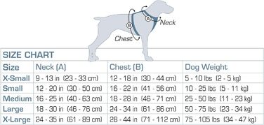 Повідець-Шлейка для Собак, Антитягнучий Шлейка з Переднім Кріпленням для Навчання та Автомобільний Ремінь Безпеки для Собак. Чорний, Розмір L (великий) Чорний Великий