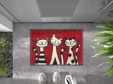 Килимок для дверей, Three Cats, 40x60 см, для використання всередині та зовні приміщень, можна прати
