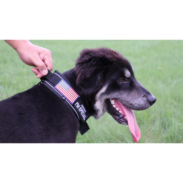 Тактичний нашийник для собак, міцний, світловідбиваючий нашийник з ручкою, широкий нашийник для середніх та великих порід, ширина 6,6 см, військовий нашийник з регульованим обхватом шиї 44-64 см, чорний