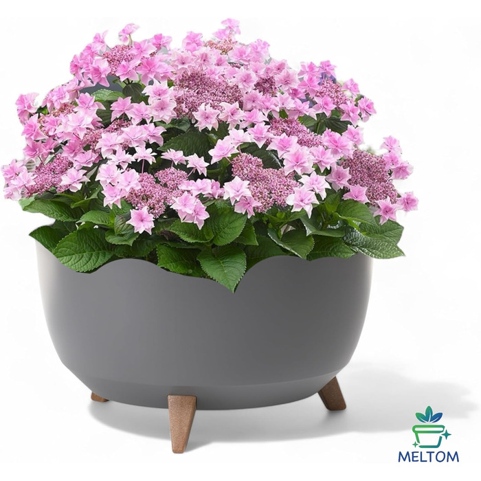 Квітковий горщик MELTOM на пластикових ніжках, кругла миска з вставкою, горщик для трав (антрацит, XL - 47 см) XL - 47 см антрацит