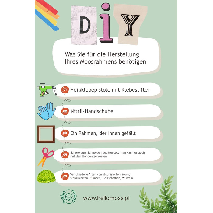 Мох Hello Moss для крафта - набір, що складається з 6 кулькових мохів ісландського моху, 1 пластинчастого моху, стабілізованого амаранту та японського кореня - збережений живий мох - набір DIY із зображенням моху (середньозелений)
