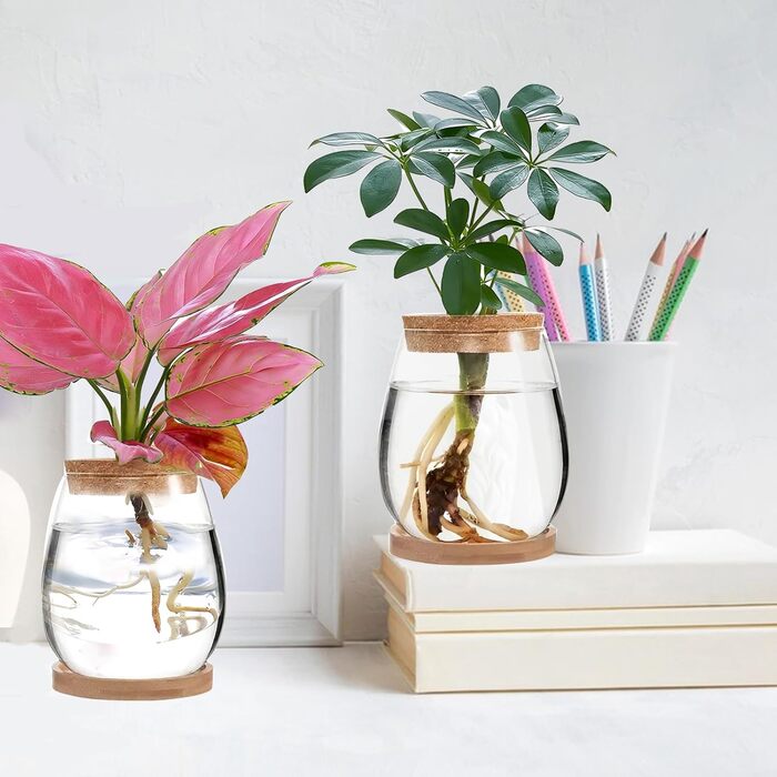 Ваза для закваски насіння авокадо Скляний плантатор Гідропонна скляна ваза для водних рослин або квітів Домашній офіс Оформлення столу 2 шт., 12x11