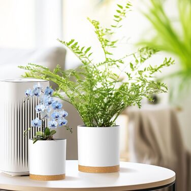 Набір з 5 квіткових горщиків з блюдцями, 17,8/15,2/14/12,7/10,2 см, пластикові кашпо, гідропонні горщики, набір квіткових горщиків, ідеально підходить для кімнатних та балконних садів, білий з коричневим підносом 765,554 дюймів (5 шт.) білий, коричневий п