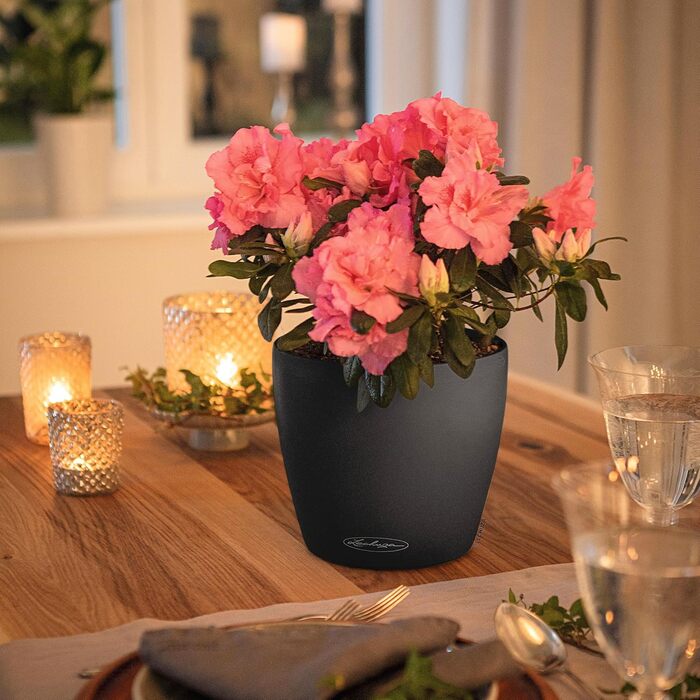 Колір 21 сланець сірий 13184, 22x22x20 см 22x22x20 см сланець сірий