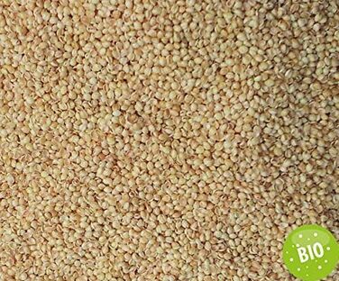 Подушка GIRAFFENLAND з органічного проса 40x60 см, подушка для сну з органічного перкалю органічний наповнювач, прямий наповнювач Нефарбована та невідбілена - подушка для голови з просом