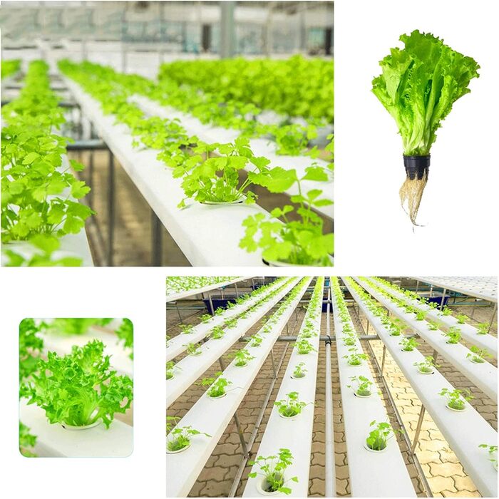 Сітка для рослин для гідропоніки, сітка для горщиків для гідропоніки, чашка для гідропоніки, пластик, чорний, 50 шт.