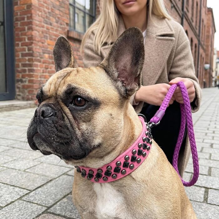 Нашийник для собак з екошкіри з заклепками для малих, середніх та великих порід (Пітбуль, Мастиф, Лабрадор, Боксер, Ротвейлер, Німецька вівчарка), фіолетовий, розмір XL