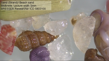 Мікроскоп Bresser Researcher ICD LED 20x-80x (5803100)