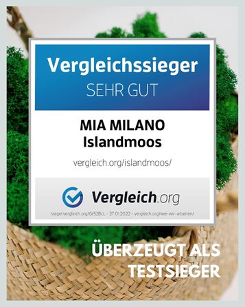Ісландський мох натуральний зелений збережений I Декорація з моху для крафта I 500г Справжній декоративний мох Ісландський для картини з моху та живої мохової стіни