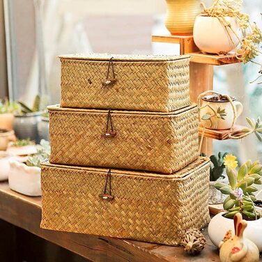 Кошики для зберігання морської трави, плетена коробка для зберігання з ротанга з кришкою та ручкою, прямокутний кошик з морської трави, полиця для зберігання одягу, косметики, книг, 3