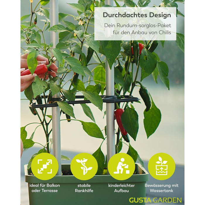 Горщик для рослин Charly Chili Chili - Горщик для рослин із шпалерою, системою поливу та міцним каркасом (темно-зелений, XL) XL Темно-зелений