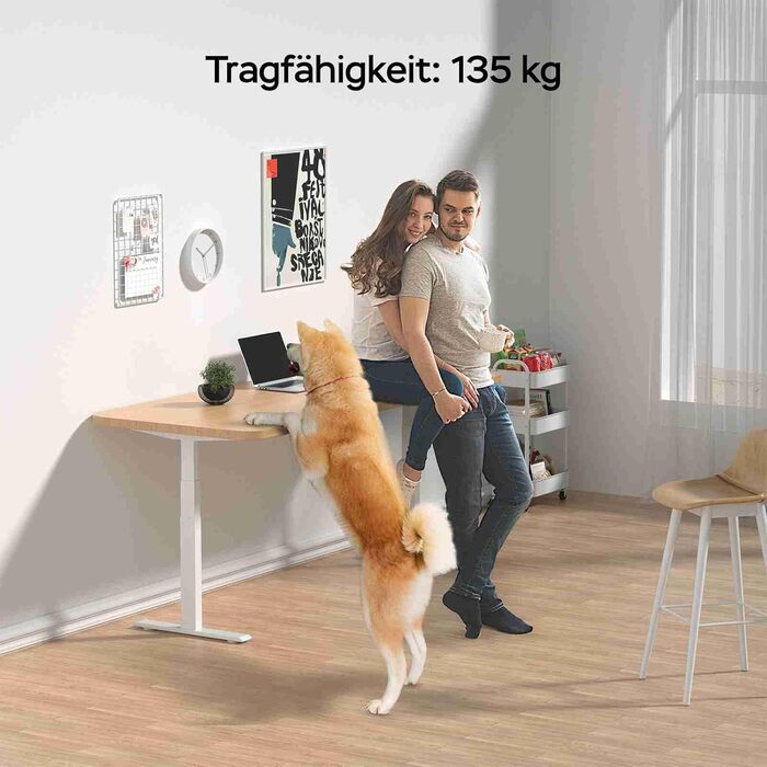 Рама столу DeHong з регулюванням висоти та 2 двигунами, 3-рівнева регульована по висоті рама столу з пам&39яттю налаштувань та функцією плавного запуску/зупинки