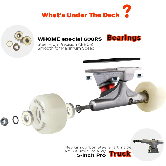 Скейтборд комплект WHOME Pro для дорослих і дітей, хлопчиків та дівчаток, початківців і професіоналів - 31x8 дюймів, 8-шарова дека з альпійського клена, підшипники ABEC-9, з T-Tool, Urban стиль