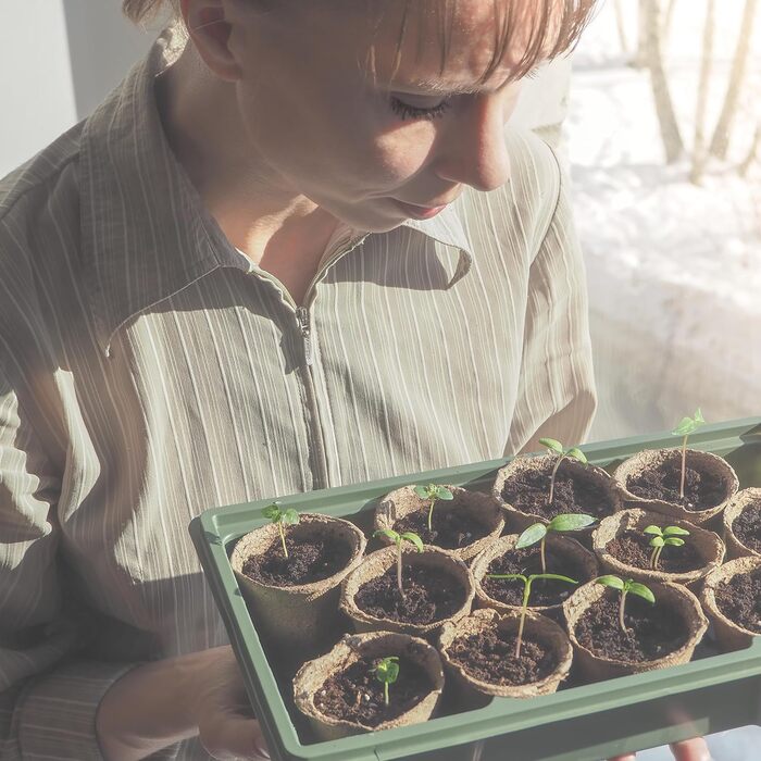 Біорозкладних горщиків для розсади, целюлозні горщики для насіння, ВxГ 7,5 x 8 см, круглі контейнери для розсади, маленькі, натуральні, 600