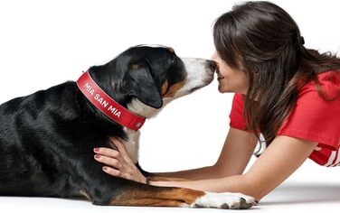 Гідрокостюм неопреновий з відбиваючими елементами FC Bayern, Розмір L-XL (65), Червоний L-XL (65)