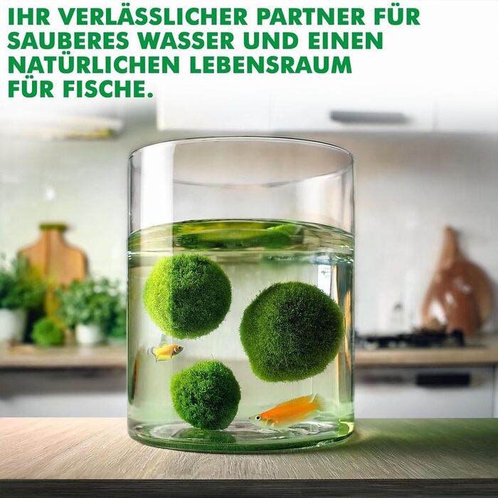 Ук моху, акваріумний мох, справжні мохові кульки для акваріумів, справжня кладофора, натуральні водні рослини для нано- та великих акваріумів, екологічно чисті та стійкі розміри кульок Marimo Moss Balls. 2-3 см, 1