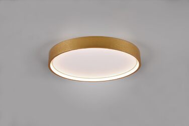 Стельовий LED-світильник Trio Leuchten Doha 641310208, матова латунь, акрил, LED 29 Вт